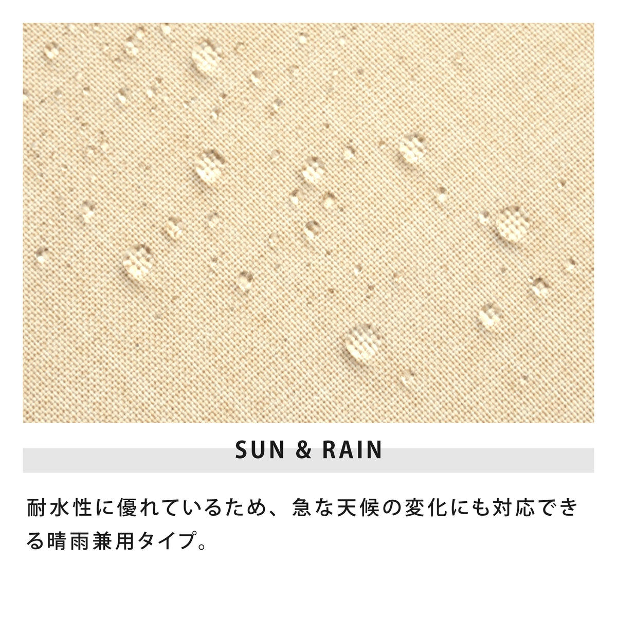 ボタニカルプリント トートバッグ ミニ | Botanical Print Mini