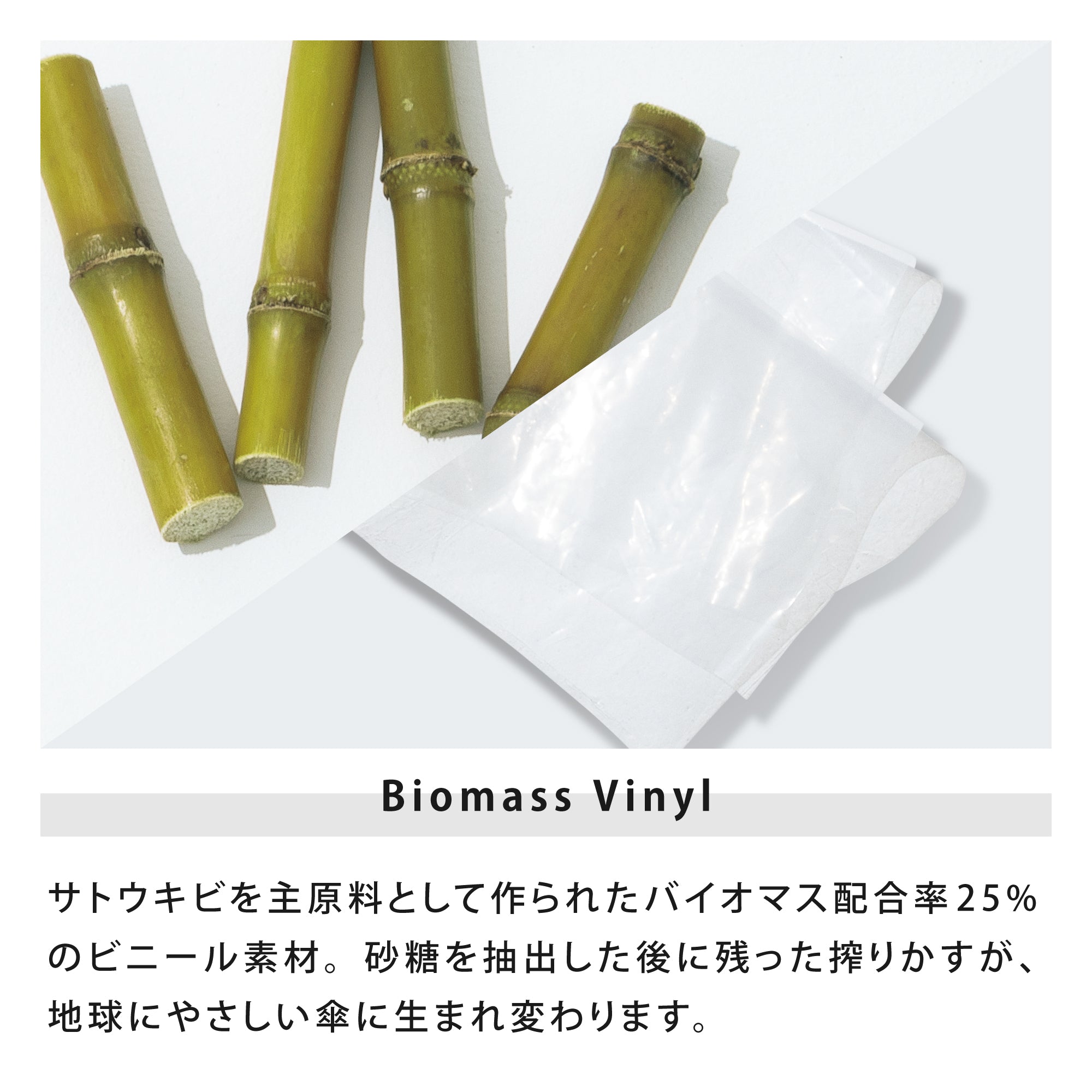 エコクリア/プレーンカラー | ECO-CLEAR/Plain Color