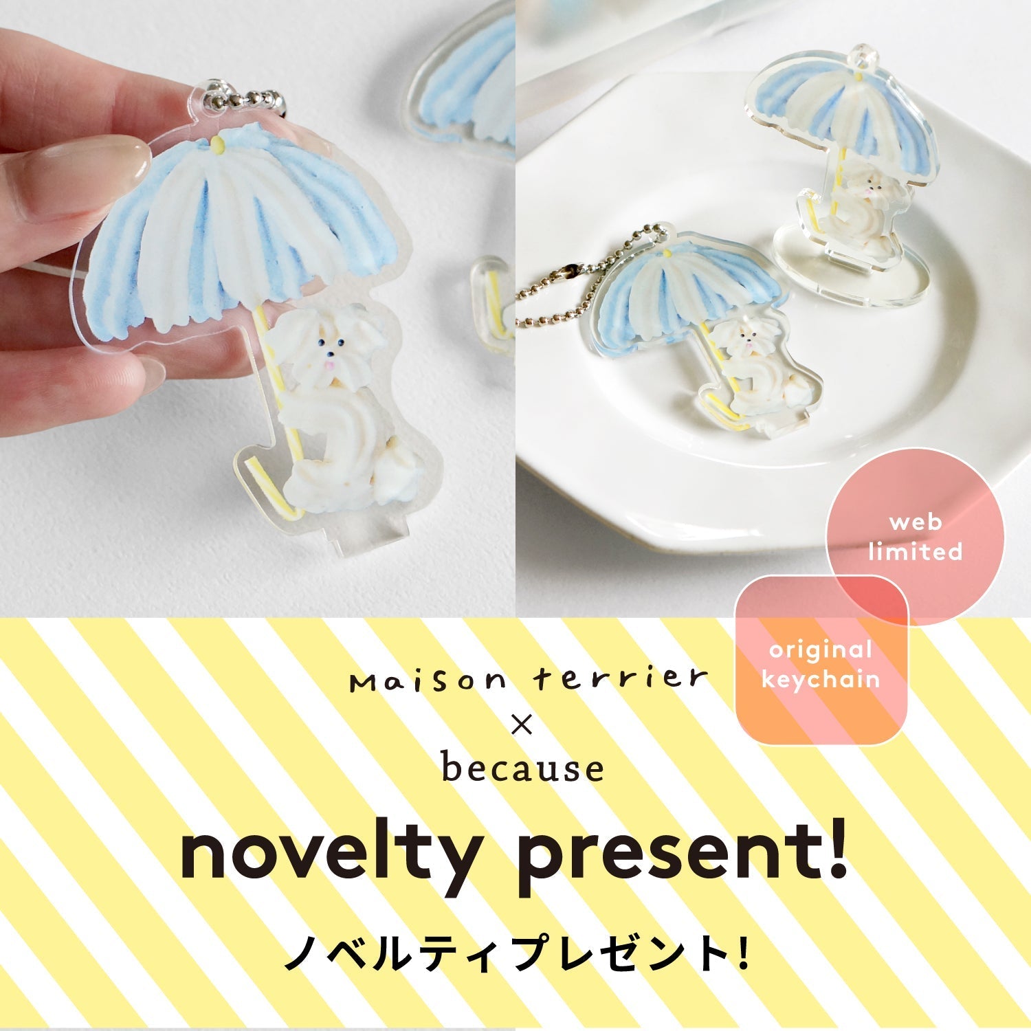 Maison terrier × because 個数限定！ノベルティプレゼント！