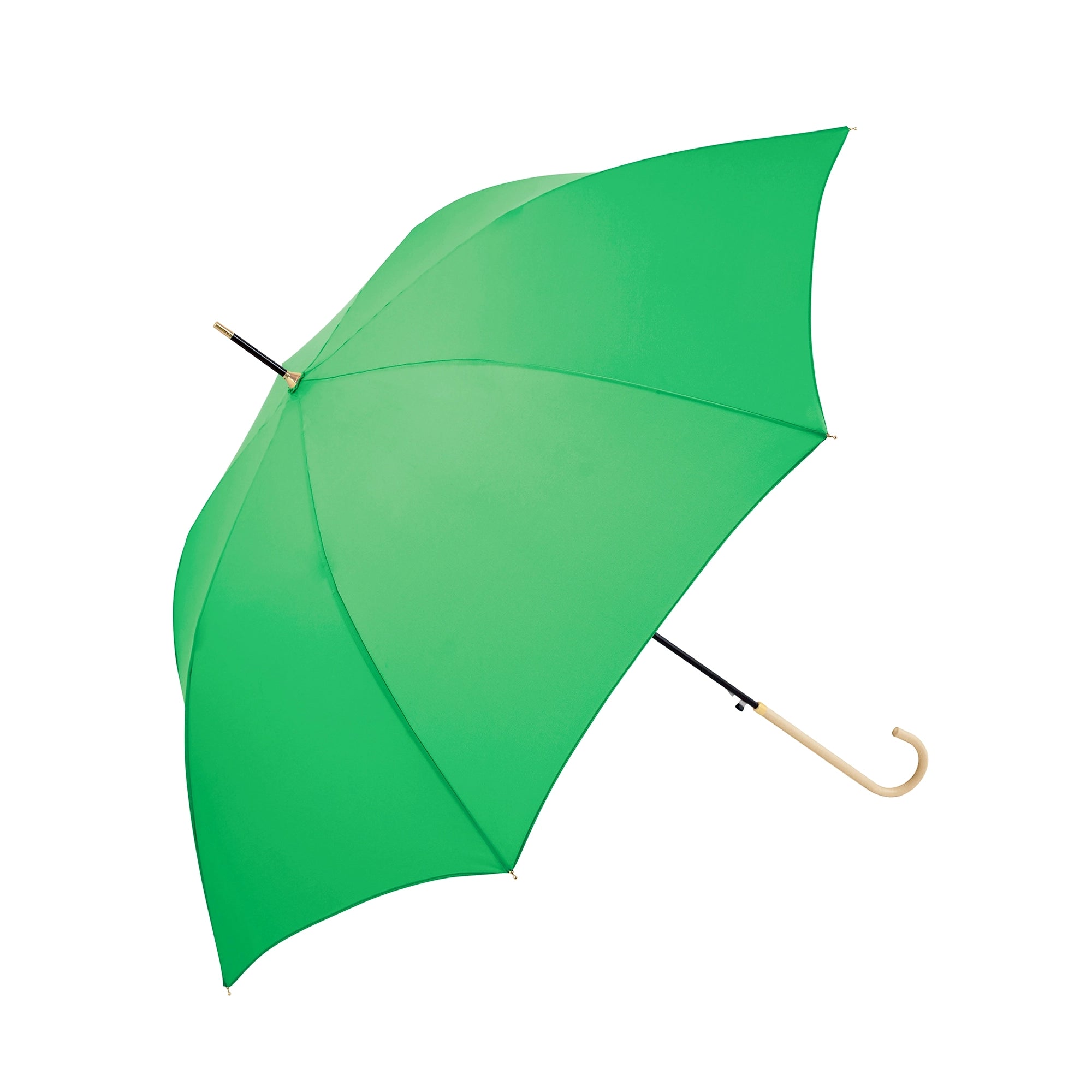 プレーンカラー ジャンプ | Plain Color Jump