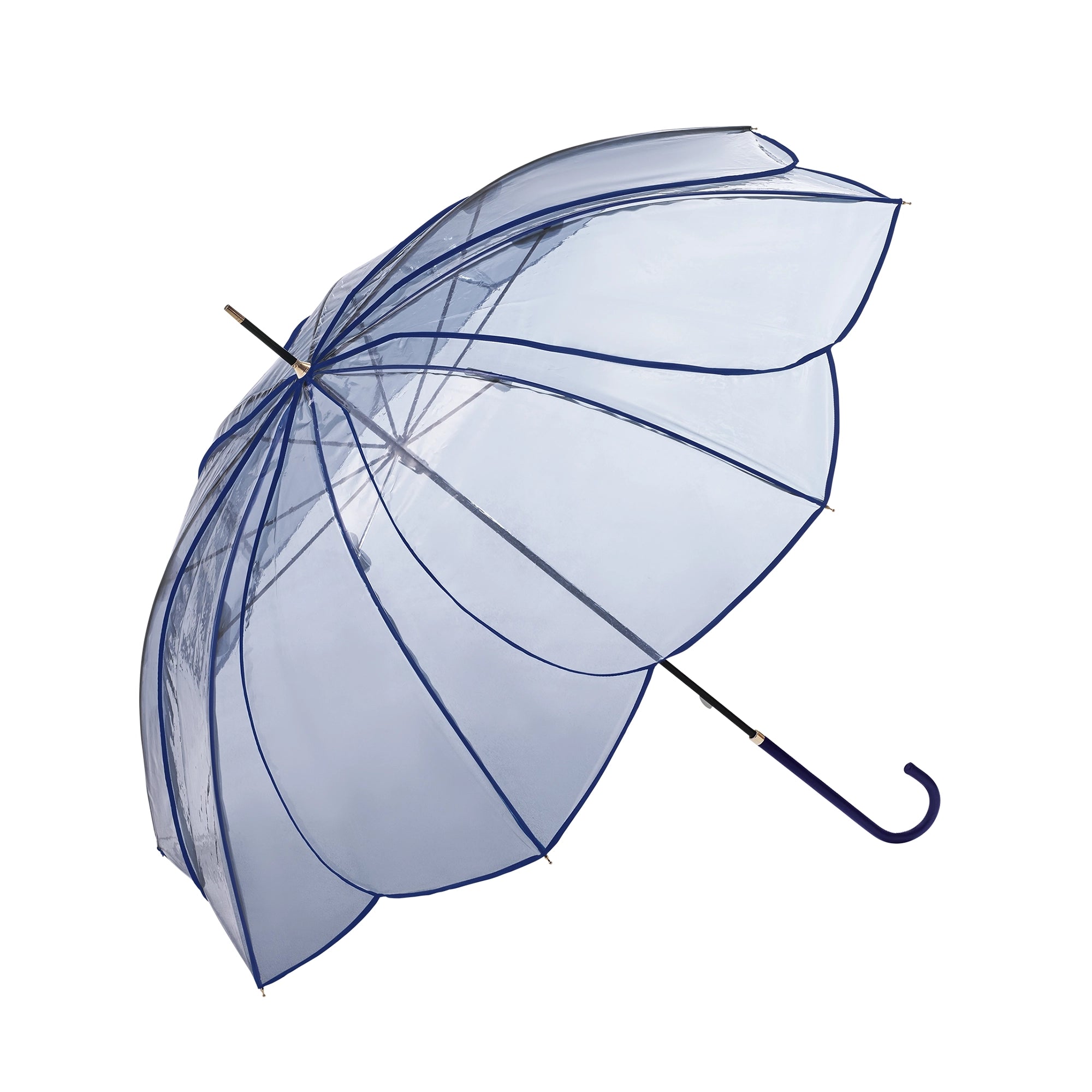 クリアアンブレラ ／ カラーパイピング | Clear Umbrella Color Piping
