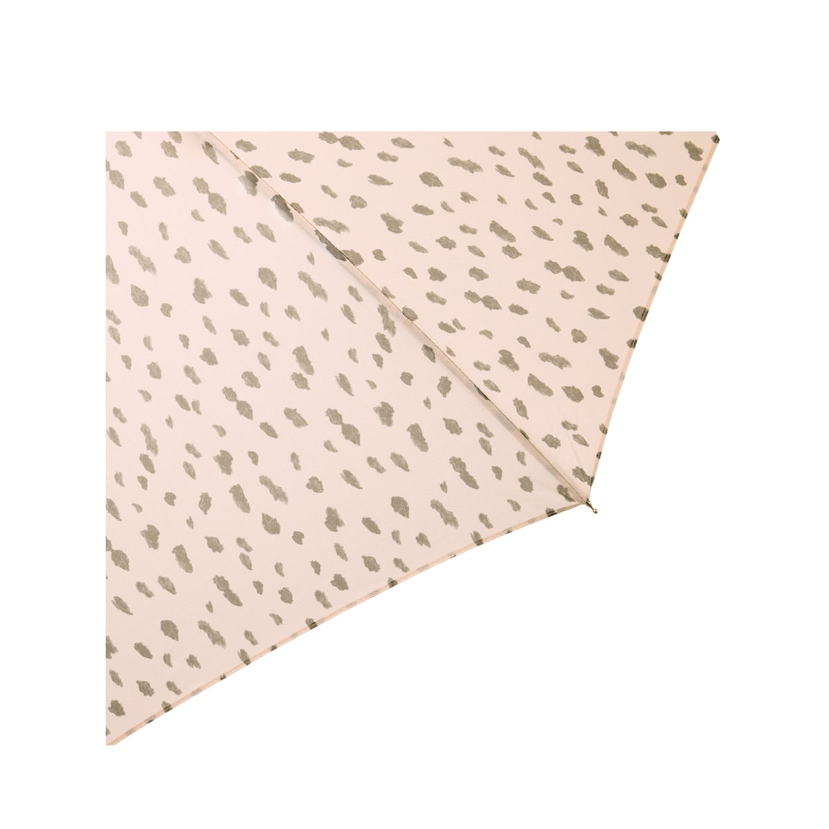 レオパード | Leopard