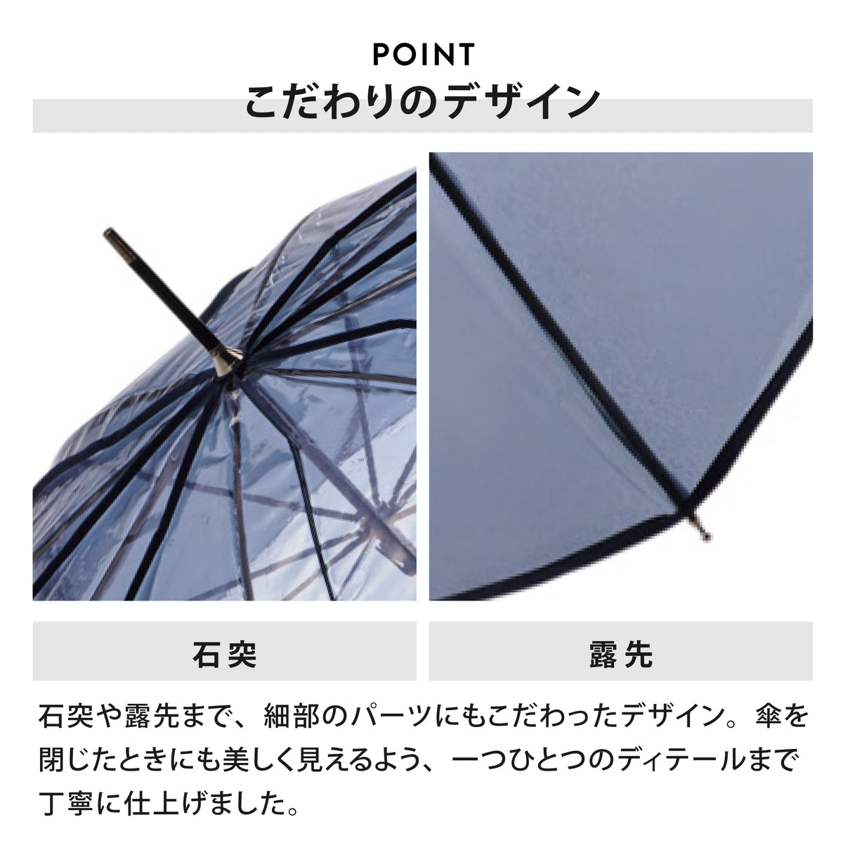 Clear Umbrella / Color Piping
