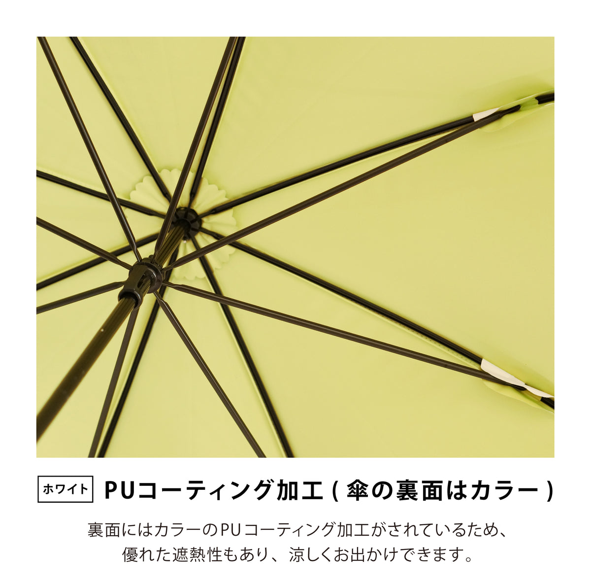 PUジオメトリックバイカラー | Geometric Bicolor