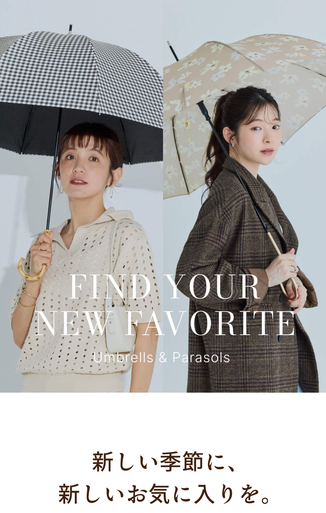 find your new favorite