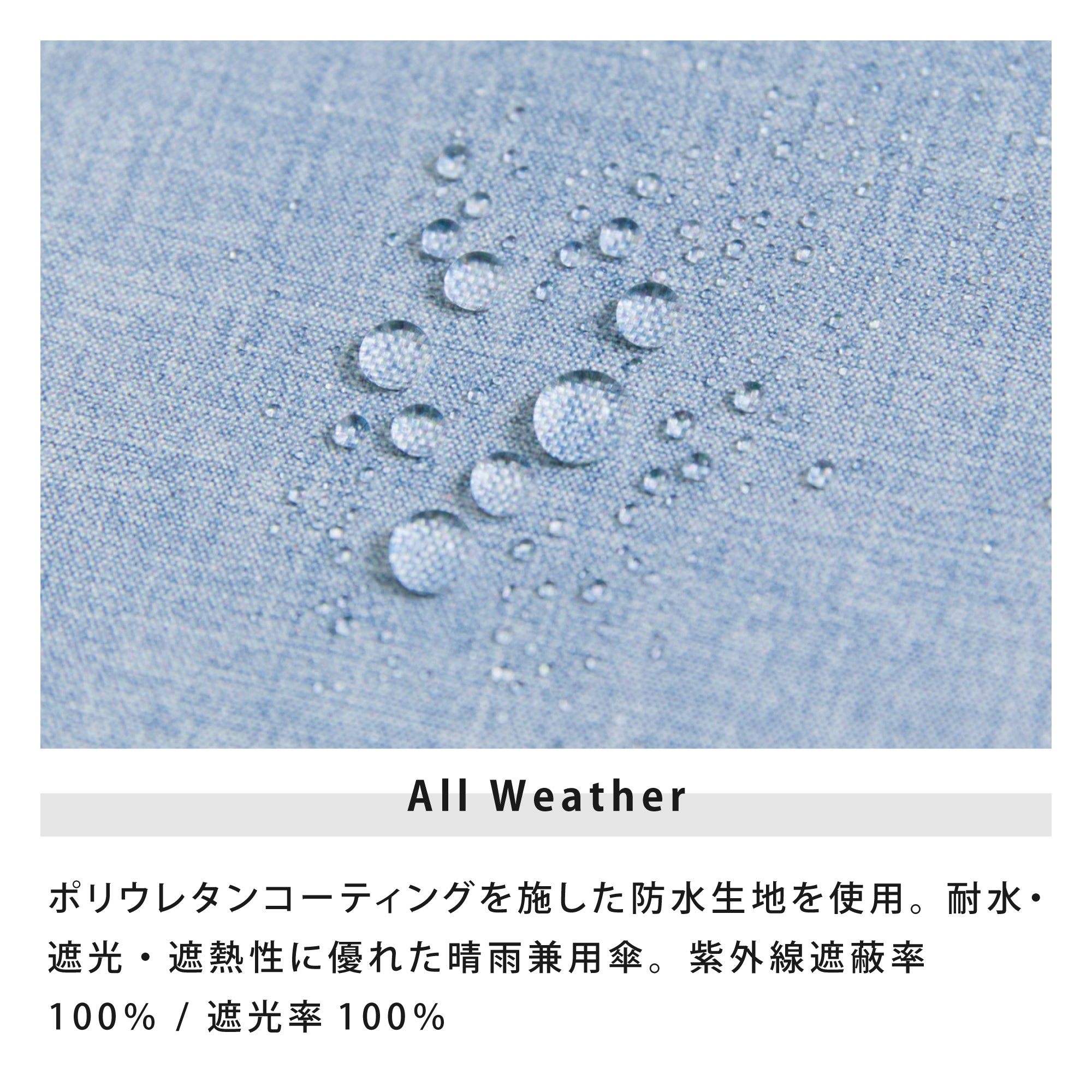 バンブレラ | bambrella