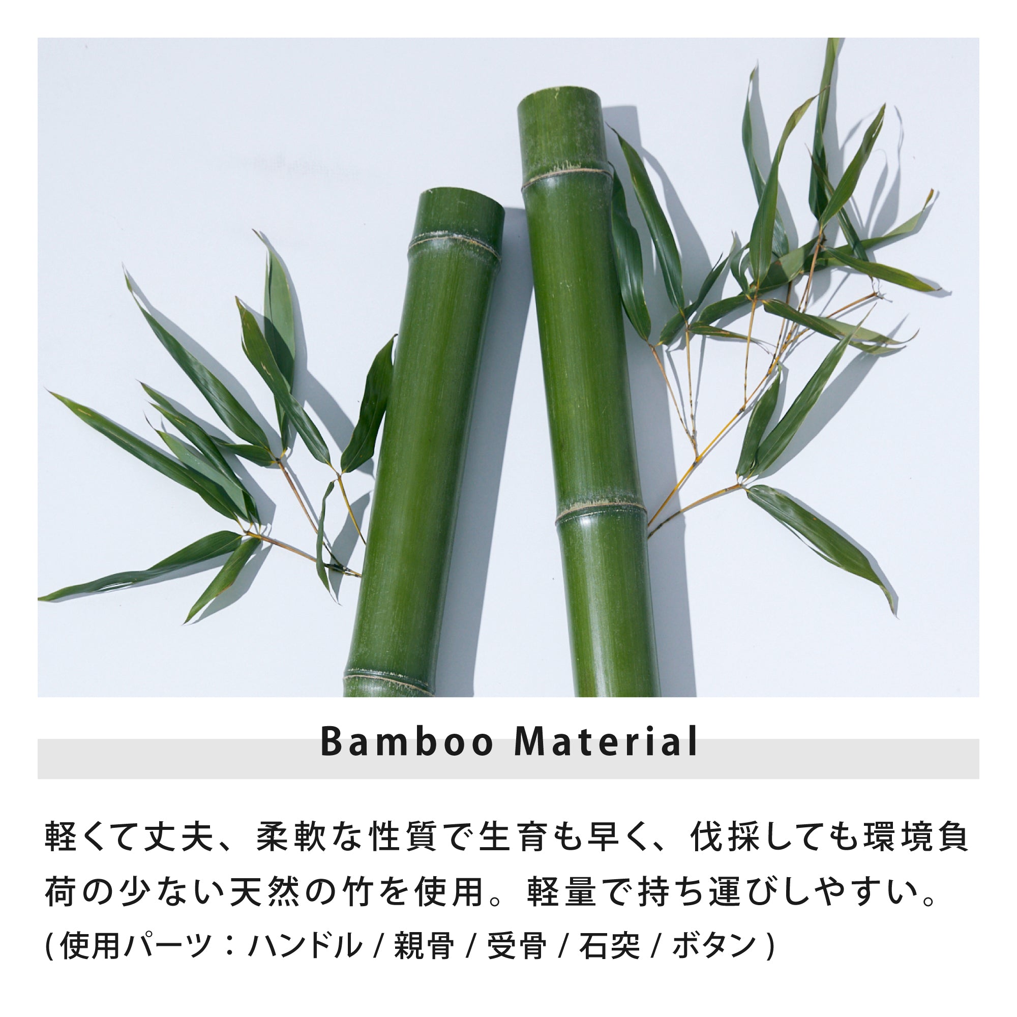 バンブレラ | bambrella