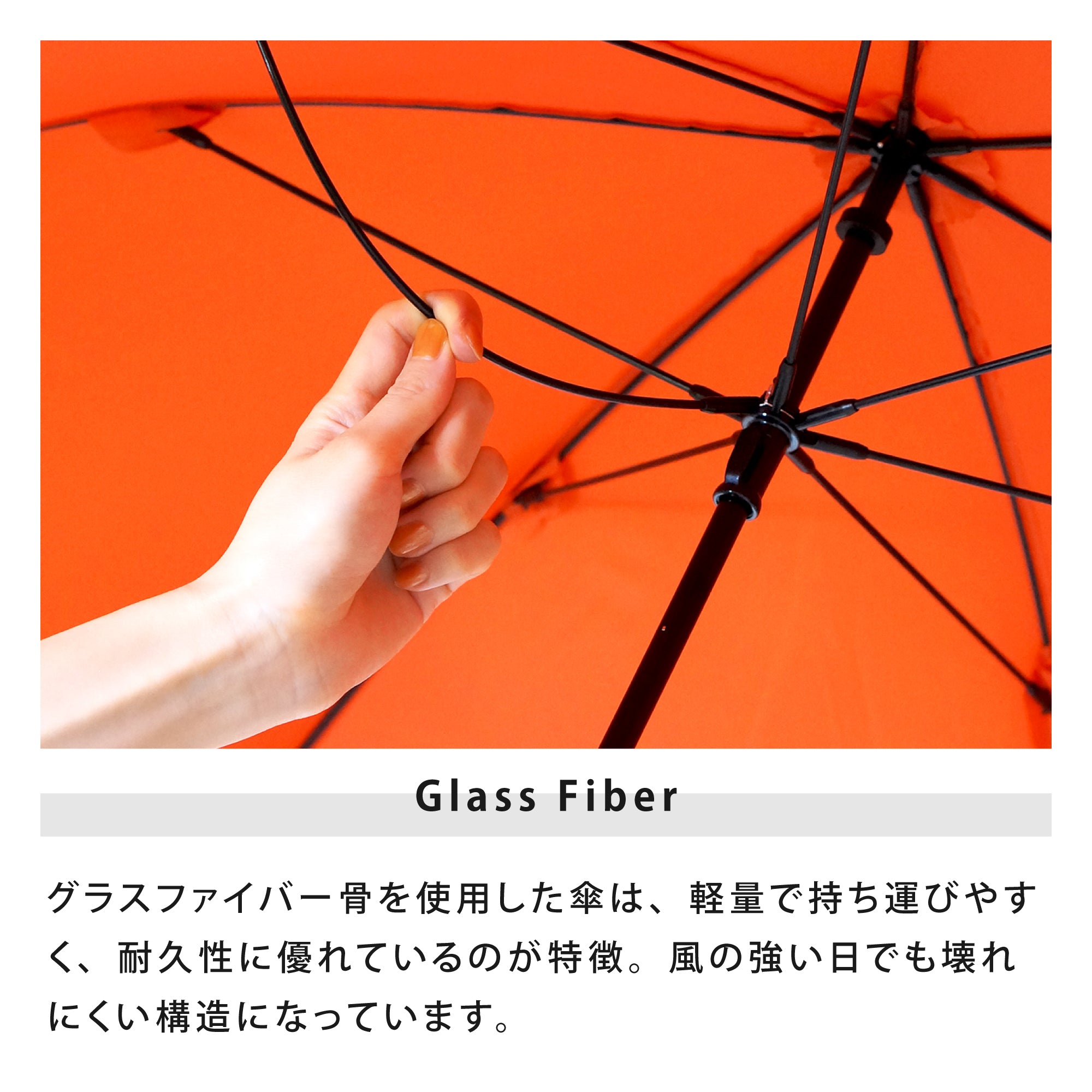 リペット | RE:PET