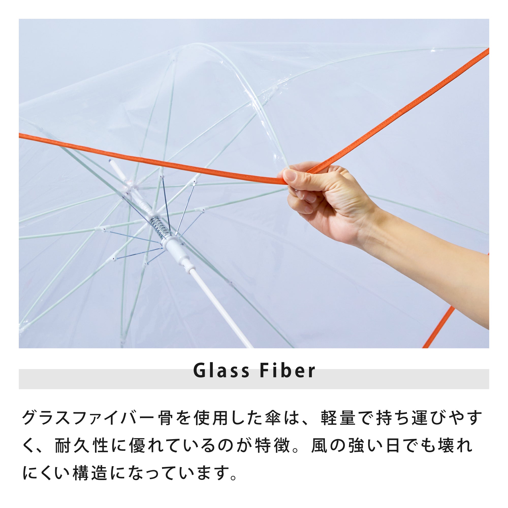 リペット クリア／プレーンカラー | RE:PET CLEAR／Plain Color
