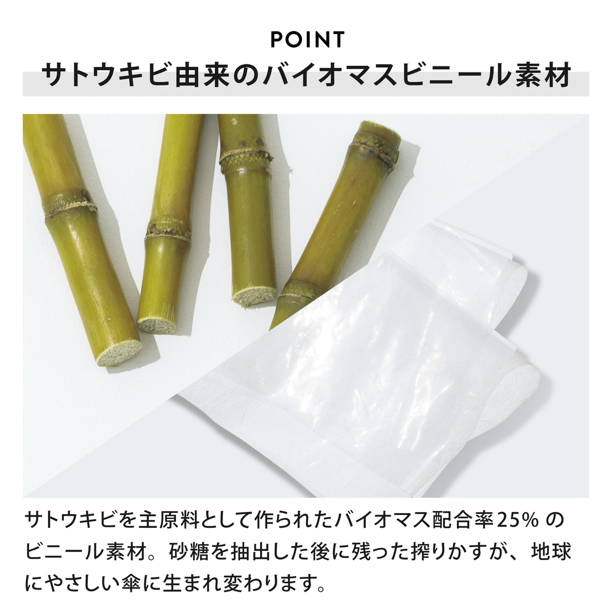 エコクリア／プレーンカラー | ECO-CLEAR／Plain Color