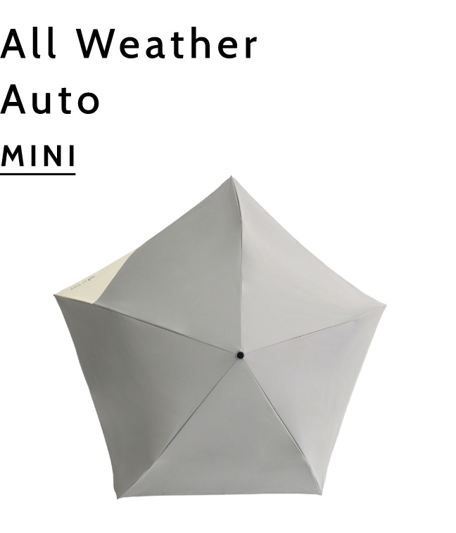 All Weather Auto MINI